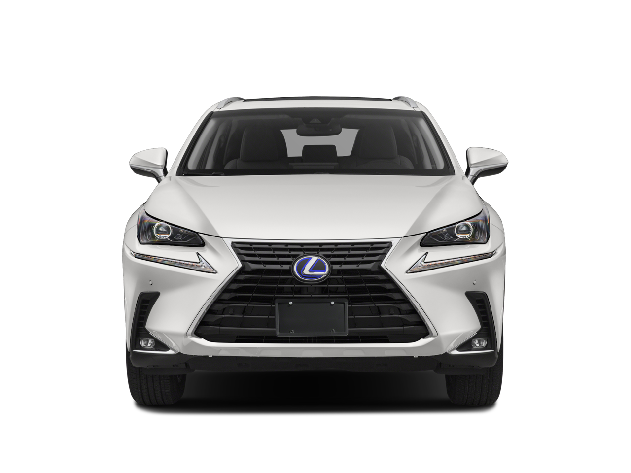 2018 Lexus NX 300h