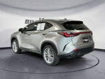 2025 Lexus NX 350h Premium