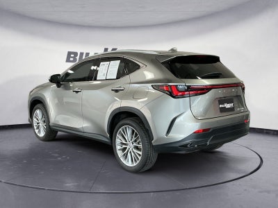 2025 Lexus NX 350h Premium