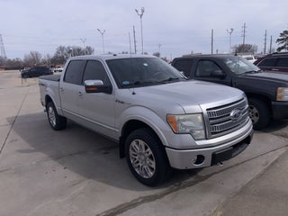 2010 Ford F-150 Platinum