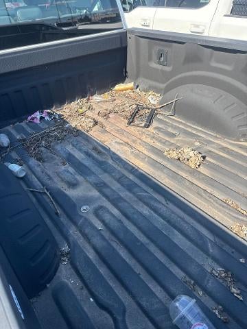 2017 Ford F-250SD XL