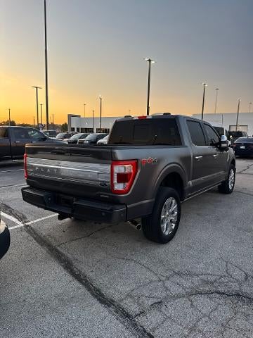 2023 Ford F-150 Platinum