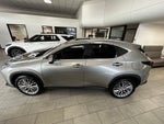 2025 Lexus NX 350h Premium